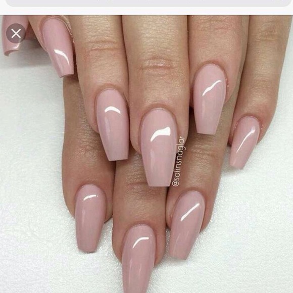 Meet your Posher, Jasmine - Picture 1 of 1